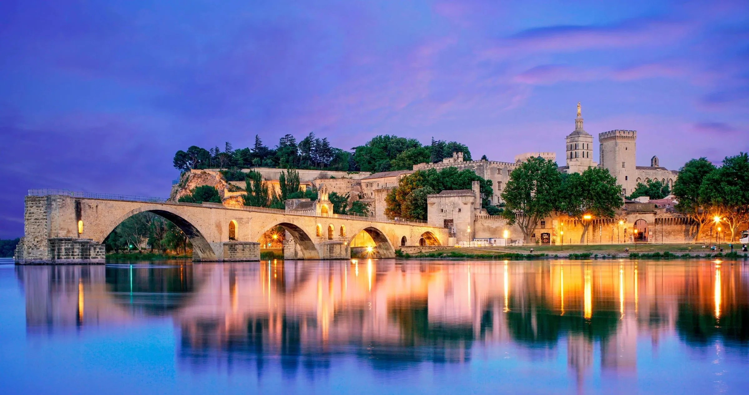 Le Pont Saint-Bénézet d'Avignon vu depuis l'île de la Barthelasse