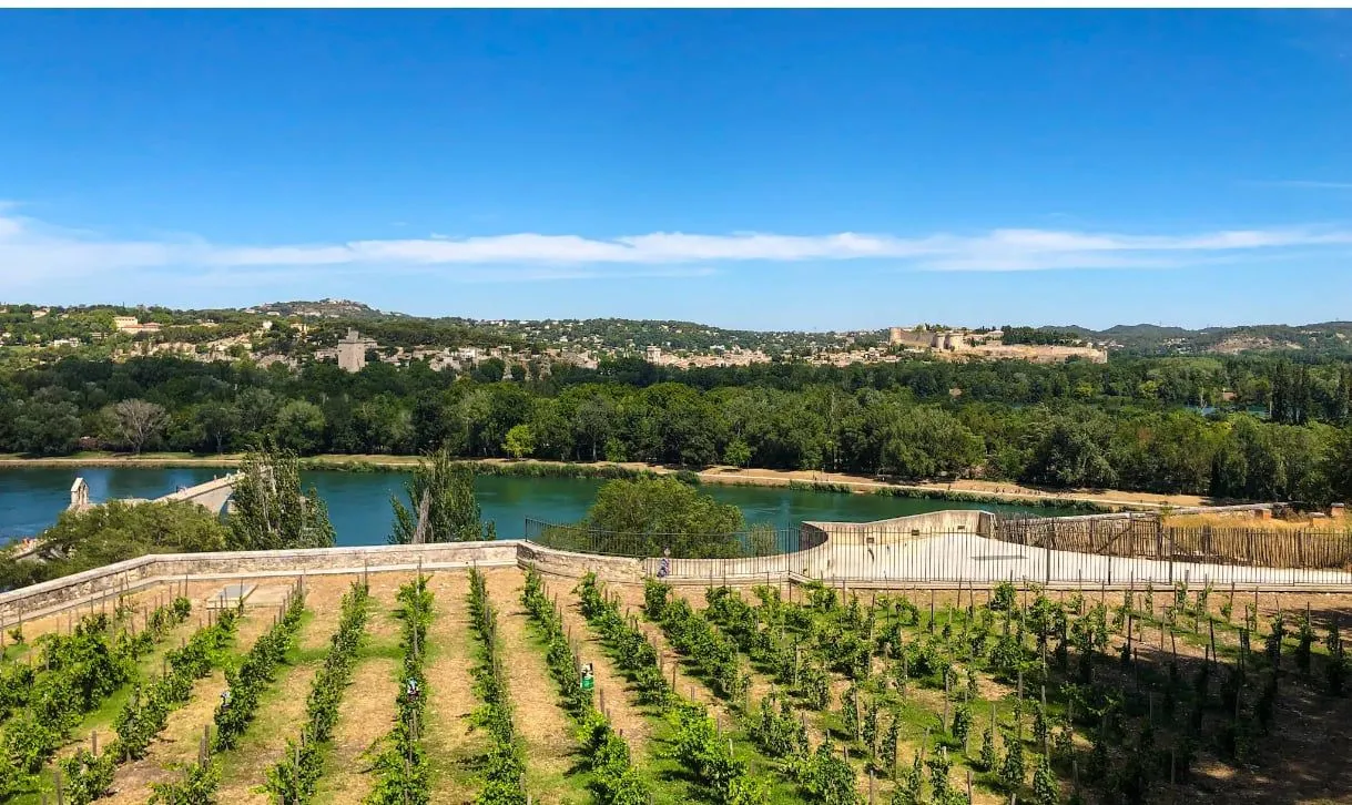 Vue depuis le Jardin des Doms sur le Pont d'Avignon et le Rhône