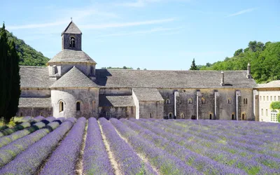 Abbaye de Sénanque depuis Avignon : guide complet 2026