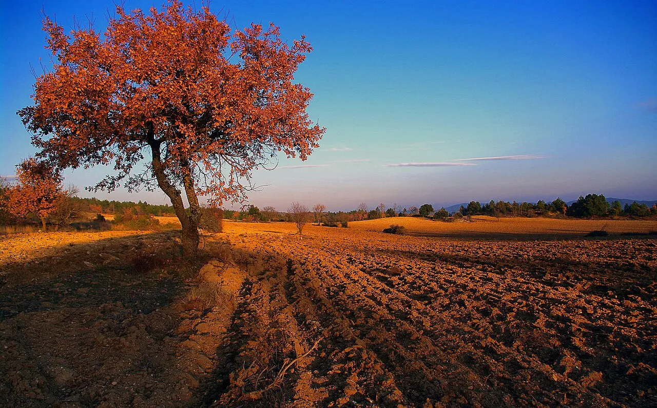Vibrant autumn foliage with golden and red leaves framing a sunlit Provençal valley