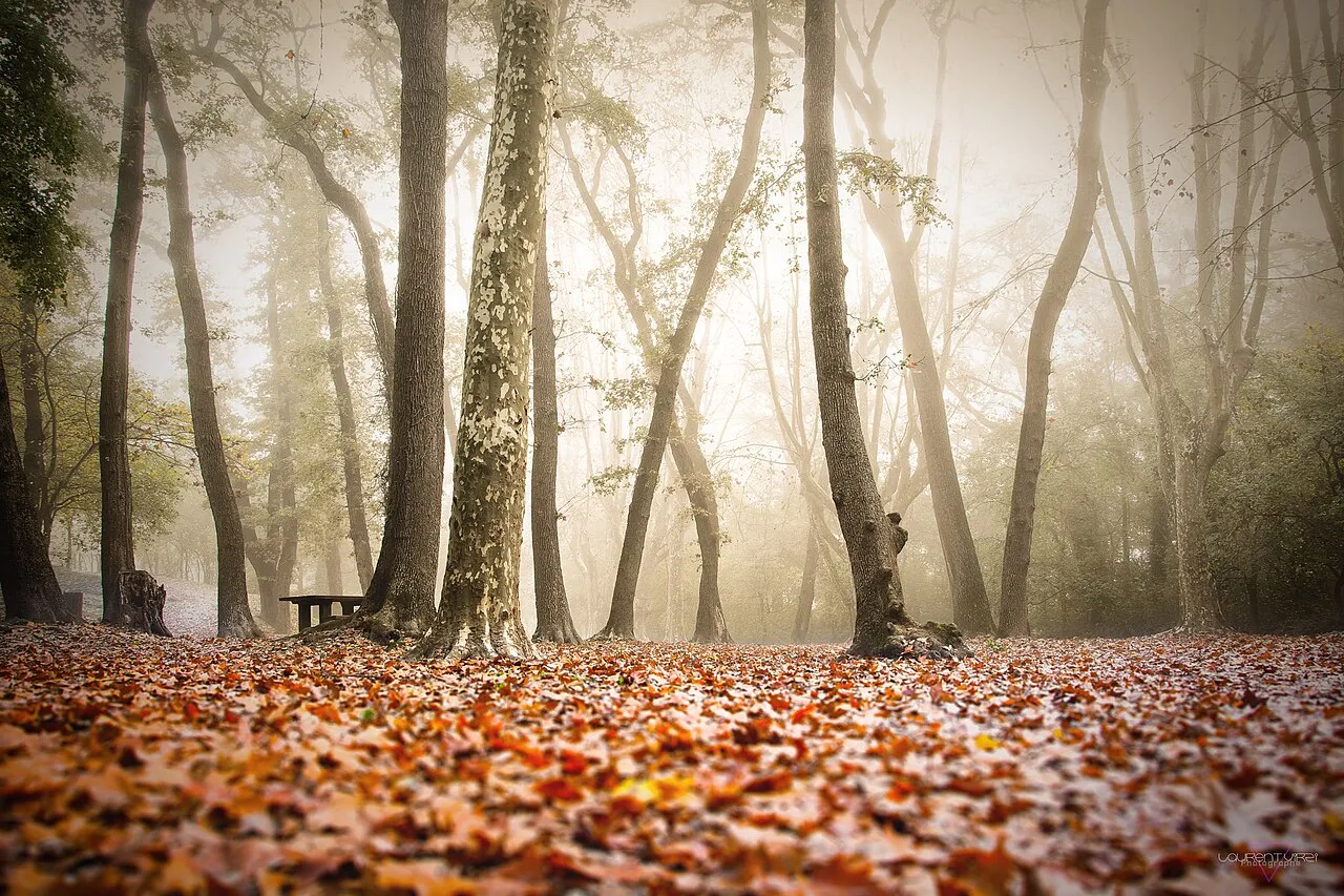 Paysage provençal aux couleurs d’automne