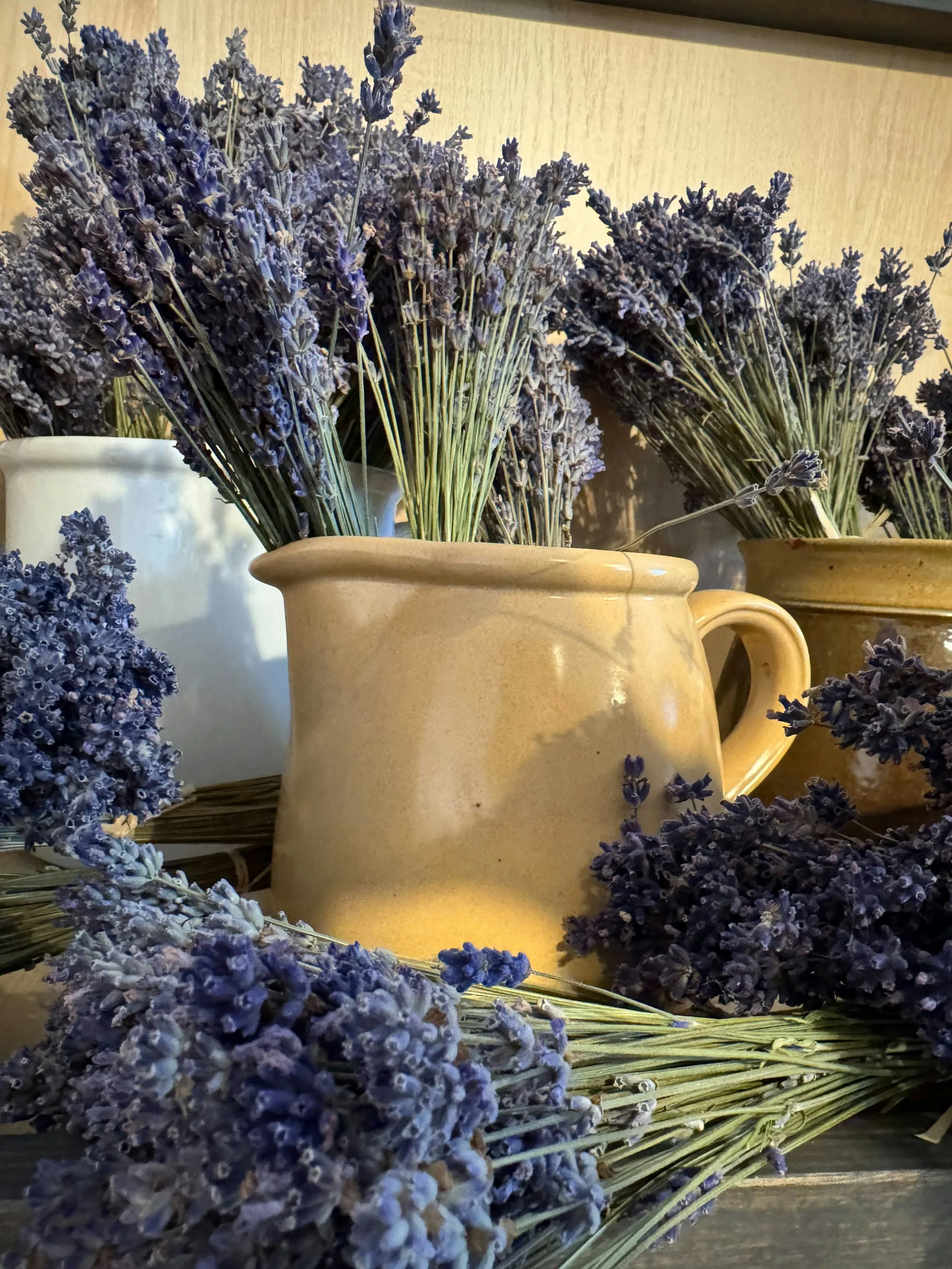 Bouquets de lavande séchée dans des pichets rustiques — distillerie artisanale de Provence