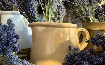 Distilleries de lavande en Provence : où acheter l'huile en 2026